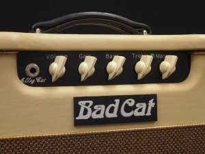 バッドキャット matchless two-rock box fender mesa hiwatt