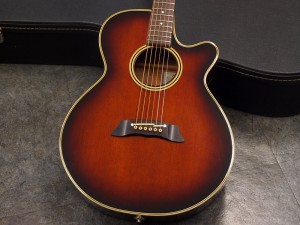 タカミネ pt dmp 高峰 ヤイリ ヤマハ モーリス taylor martin gibson