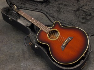 タカミネ pt dmp 高峰 ヤイリ ヤマハ モーリス taylor martin gibson