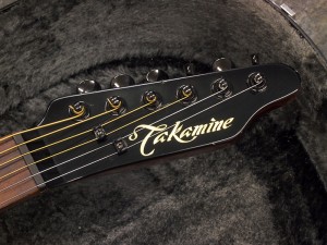 タカミネ pt dmp 高峰 ヤイリ ヤマハ モーリス taylor martin gibson