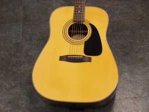 フェンダー gibson martin d-28 ooo 000 18 45 CD CF SONORAN MARIBU