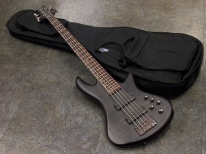 シェクター edwards エドワーズ ダイアモンド warwick spector 