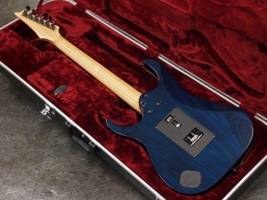 アイバニーズ イバニーズ 星野楽器 RG S RGD ARZ fujigen フジゲン　富士弦　FGN