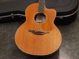 ローデン　ココボロ　レッドウッド George Lowden Guitars F body series