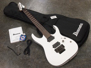 アイバニーズ イバニーズ 星野楽器 RG S RGD ARZ fujigen フジゲン　富士弦　FGN