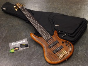 アイバニーズ イバニーズ 星野楽器  fujigen フジゲン　富士弦　FGN　6弦　6 st strings