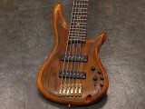 アイバニーズ イバニーズ 星野楽器 fujigen フジゲン　富士弦　FGN　6弦　6 st strings