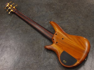 アイバニーズ イバニーズ 星野楽器  fujigen フジゲン　富士弦　FGN　6弦　6 st strings