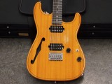 ディバイザー bacchus momose seventyseven gibson fender thinline