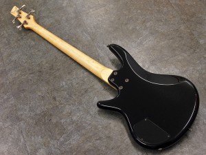 アイバニーズ イバニーズ  SR fujigen　FGN　初心者　入門　ビギナー　女性　子供　軽量　小型　gio 