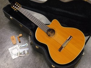 ヤイリ　矢入　エレガット　ガット　クラシック　ナイロン　エレアコ　ce-1 ce-1d ce-3 classic gut