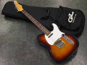 ジーアンドエル musicman fender american tl strat silhouette japan 