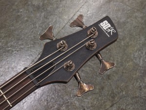 アイバニーズ イバニーズ btb warwick spector fernandes 初心者 コンパクト