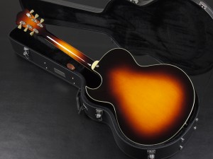 イーストマン フルアコ セミアコ full acoustic aco semi ES-175 Gibson AR-403CE Ply-wood series​ プライウッド シリーズ AR-800 AR-804C AR-805 ゴダン 薄型 thin body シン ボディ ES-125 ES-135 335