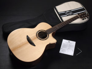 ディーシーティー ジャパン japan Cutaway カッタウェイ Takamine yamaha タカミネ ヤマハ 初心者 ビギナー 入門 女性 女子 子供 キッズ エレアコ eleaco