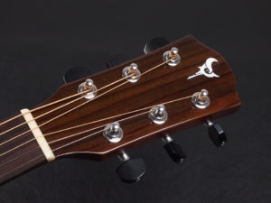 ディーシーティー ジャパン japan Cutaway カッタウェイ Takamine yamaha タカミネ ヤマハ 初心者 ビギナー 入門 女性 女子 子供 キッズ エレアコ eleaco