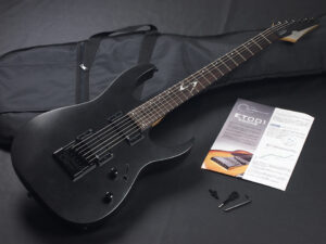 E-II LTD Alien Ibanez Mayones エイリアン メイワンズ マヨネーズ アイバニーズ RG HR EC Horizon Eclipce