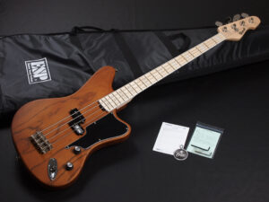 ESP E-ll Grassroots LTD Forest AP Viper サンダーバード Thunderbird Non Reverse 変形 ビザール Punk パンク メロコア