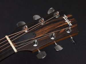 タイラー 114ce 214e 314ce Koa RW ローズウッド DLX deluxe エレアコ electric acoustic ES2 初心者 入門 女子 Plus プラス GA +