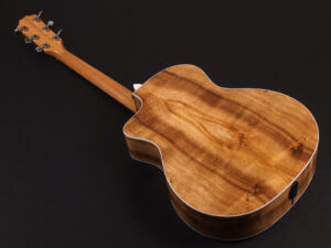 タイラー 114ce 214ce 314ce Koa Hawaiian 2017 2018 ハワイアンコア DLX deluxe エレアコ electric acoustic ES2 初心者 入門