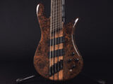 warwick streamer rock bass thumb euro Legend E-ll Dingwall Fanned Fret USA Legend LT LX Classic bue