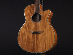 ディーシーティー Takamine yamaha 初心者 入門 女性 女子 エレアコ hawaiian koa コア材 ハワイアンコア 小型 小ぶり 000 OOO OM VR-640K 300CE