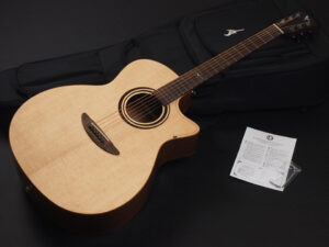 ディーシーティー ジャパン japan Cutaway カッタウェイ Takamine yamaha タカミネ ヤマハ 初心者 ビギナー 入門 女性 女子 子供 エレアコ CPX APX PTU