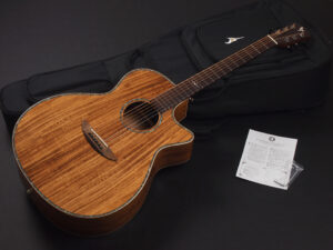 ディーシーティー Takamine yamaha 初心者 入門 女性 女子 エレアコ hawaiian koa コア材 ハワイアンコア 小型 小ぶり 000 OOO OM VR-640K 300CE