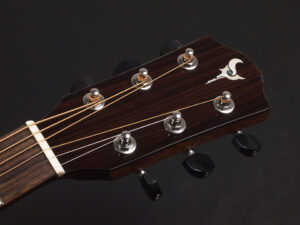 ディーシーティー ジャパン japan Cutaway カッタウェイ Takamine yamaha タカミネ ヤマハ 初心者 ビギナー 入門 女性 女子 子供 エレアコ CPX APX PTU