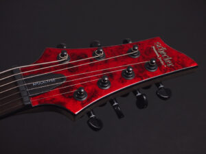 シェクター 7 String 多弦 CT Hellraizer Damien Ibanez RG ESP Edwards E-HR Fixed Mayones