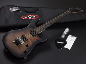 ヴァンヘイレン エディ Edward Van Halen Eddie PEAVEY Musicman Axis 5150 Friedman Brown ウルフギャング Kramer クレーマー