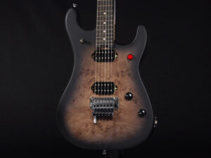 ヴァンヘイレン エディ Edward Van Halen Eddie PEAVEY Musicman Axis 5150 Friedman Brown ウルフギャング Kramer クレーマー