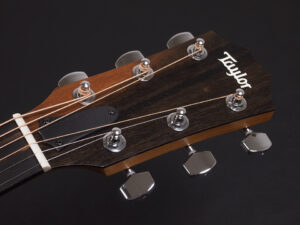 タイラー 114ce 214e 314ce Koa RW ローズウッド DLX deluxe エレアコ electric acoustic ES2 初心者 入門 女子 Plus プラス GA +