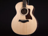 タイラー 114ce 214e 314ce Koa RW ローズウッド DLX deluxe エレアコ electric acoustic ES2 初心者 入門 女子 Plus プラス GA +