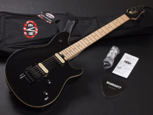 ヴァンヘイレン エディ Edward Van Halen Eddie PEAVEY Musicman Axis 5150 Friedman Brown ウルフギャング Kramer クレーマー Wolfgang Special