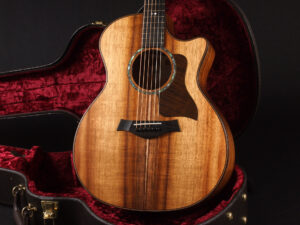 タイラー Hawaiian Koa ハワイアンコア K24ce K14ce K26e 722ce 314ce 414ce 814ce 714ce Limited Edition Special 限定品