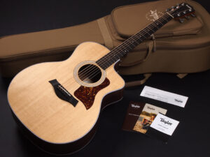 タイラー 114ce 214e 314ce Koa RW ローズウッド DLX deluxe エレアコ electric acoustic ES2 初心者 入門 女子 Plus プラス GA +