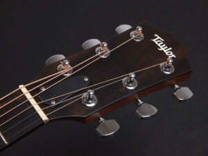 タイラー 114ce 214e 314ce Koa RW ローズウッド DLX deluxe エレアコ electric acoustic ES2 初心者 入門 女子 Plus プラス GA +