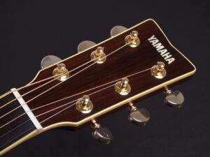 Brown Sunburst AC3R AC3M AC5R AC1R AC1M エレアコ 初心者 女子 女性 入門 ビギナー LL16 LL6 LS6 FS850 オール単板 日本製 Japan