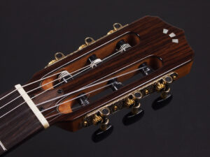 コルドバ ステージ ギター クラシック ガット ナイロン エレガット Nylon Classic ele Gut Godin A6 Duet Acoustasonic Fender Multiac