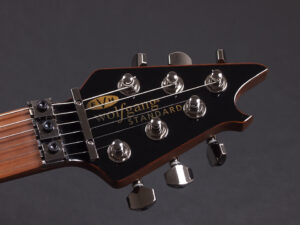 ヴァンヘイレン エディ Edward Van Halen Eddie PEAVEY Musicman Axis 5150 Friedman Brown ウルフギャング Kramer クレーマー Wolfgang Special