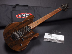 ヴァンヘイレン エディ Edward Van Halen Eddie PEAVEY Musicman Axis 5150 Friedman Brown ウルフギャング Kramer クレーマー Wolfgang Special