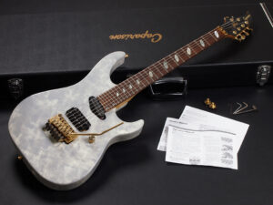 ESP Jackson Charvel Dean Ibanez Schecter TAT Orbit Dellinger apple horn キャパリソン 中信