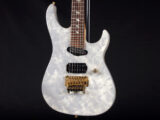 ESP Jackson Charvel Dean Ibanez Schecter TAT Orbit Dellinger apple horn キャパリソン 中信