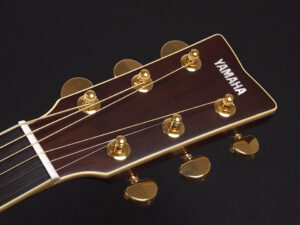 Brown Sunburst AC3R AC3M AC5R AC1R AC1M エレアコ 初心者 女子 女性 入門 ビギナー LL16 LL6 LS6 FS850 オール単板 日本製 Japan