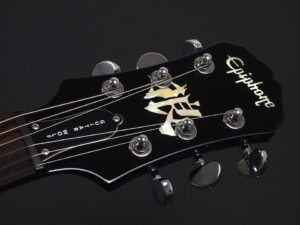 SG ギターウルフ 狼 SG Standard STD Special 初心者 入門 女子 子供 Black Ebony BLK BK EB 黒 ブラック Punk Garage パンク セイジ