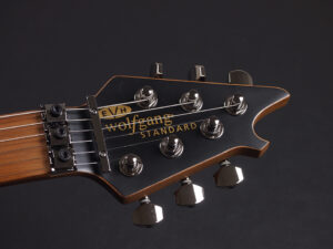 ヴァンヘイレン エディ Edward Van Halen Eddie PEAVEY Musicman Axis 5150 Friedman Brown ウルフギャング Kramer クレーマー Wolfgang Special