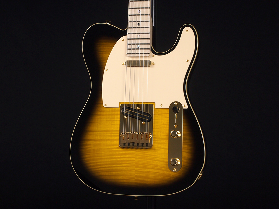 Fender Richie Kotzen Telecaster Maple Fingerboard Brown Sunburst