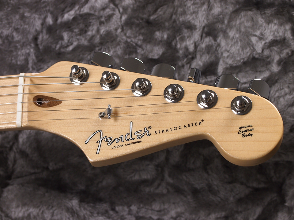 Fender USA AmericanProfessional ボディー - laces501c.org