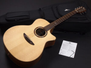 ディーシーティー ジャパン japan Cutaway カッタウェイ Takamine yamaha タカミネ ヤマハ 初心者 ビギナー 入門 女性 女子 子供 エレアコ eleaco 800CES